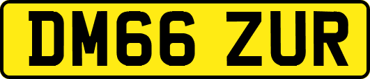 DM66ZUR