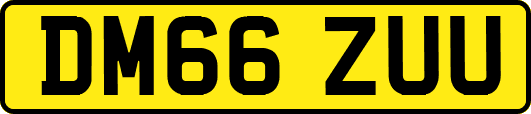 DM66ZUU