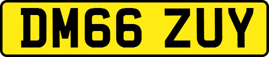 DM66ZUY