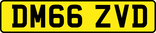 DM66ZVD