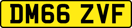 DM66ZVF