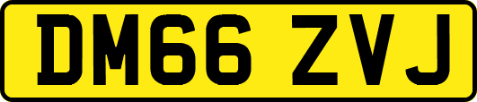 DM66ZVJ