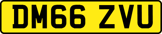 DM66ZVU