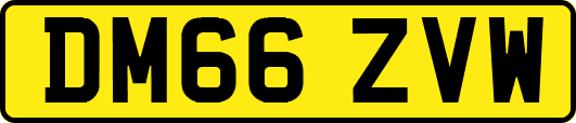 DM66ZVW