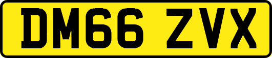 DM66ZVX