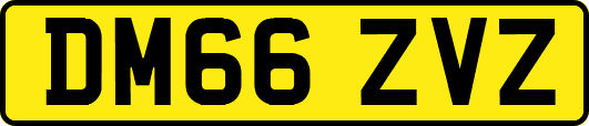 DM66ZVZ