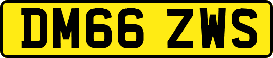 DM66ZWS