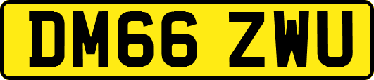 DM66ZWU