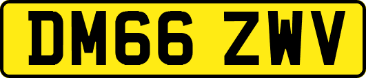 DM66ZWV