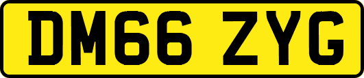 DM66ZYG