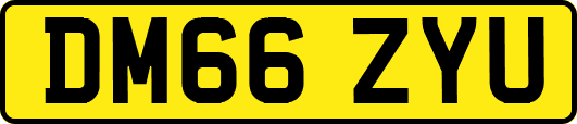 DM66ZYU