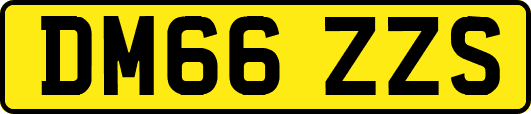 DM66ZZS