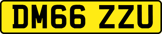 DM66ZZU