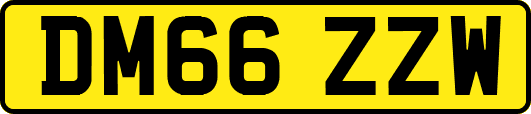 DM66ZZW