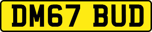 DM67BUD