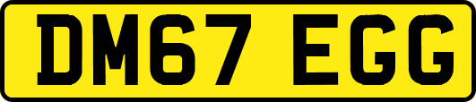 DM67EGG