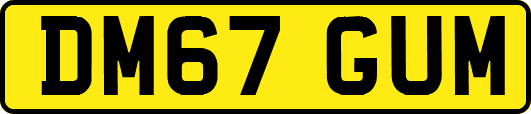 DM67GUM
