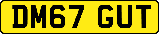 DM67GUT