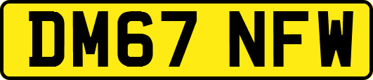 DM67NFW