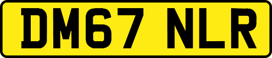 DM67NLR