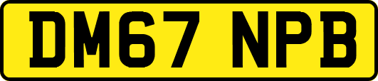 DM67NPB