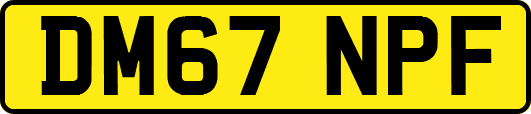 DM67NPF