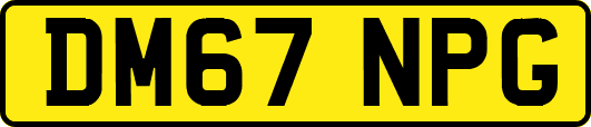 DM67NPG