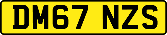 DM67NZS