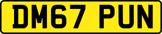 DM67PUN