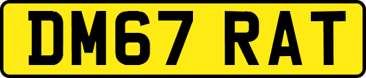 DM67RAT