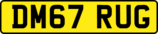 DM67RUG