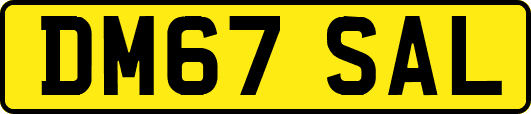 DM67SAL