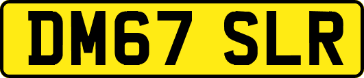 DM67SLR