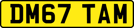 DM67TAM