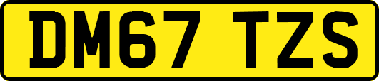 DM67TZS