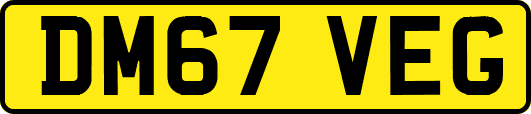 DM67VEG