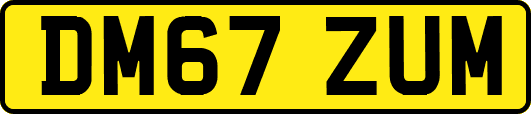DM67ZUM