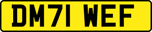 DM71WEF
