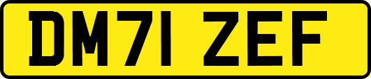 DM71ZEF