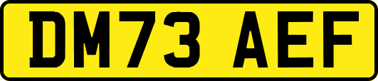 DM73AEF