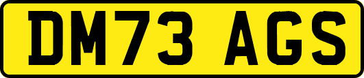 DM73AGS