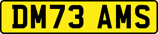DM73AMS