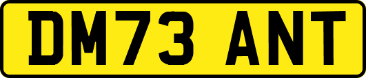 DM73ANT