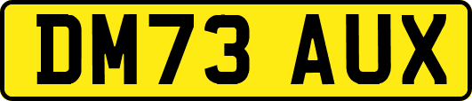 DM73AUX