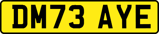 DM73AYE