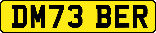 DM73BER