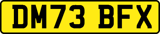 DM73BFX