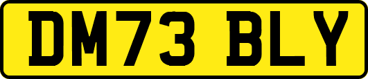 DM73BLY