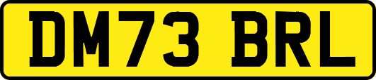 DM73BRL