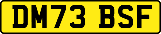 DM73BSF